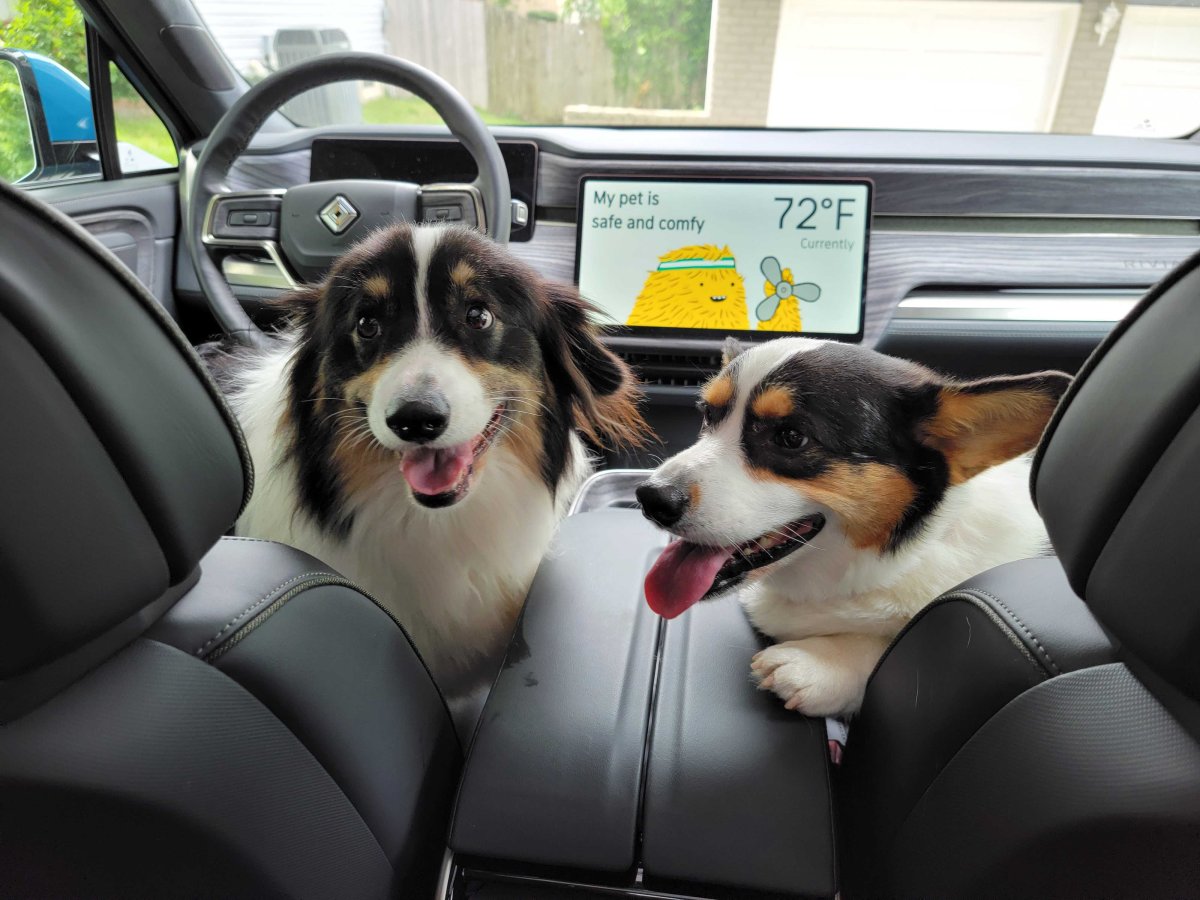Tesla Pet Comfort: New Mobile App Controls and Pet Cam feature in update 2026.36.41